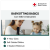 Babysitting Basics Online Certification